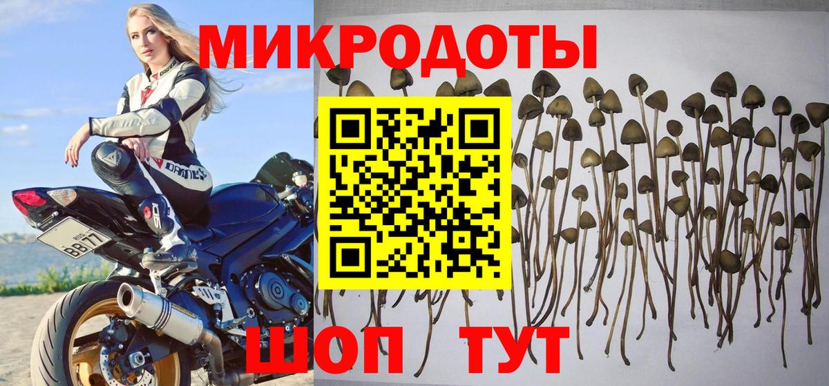 Галлюциногенные грибы прущие грибы  Галлюциногенные грибы ЛСД  Вход с VPN  Сорочинск 